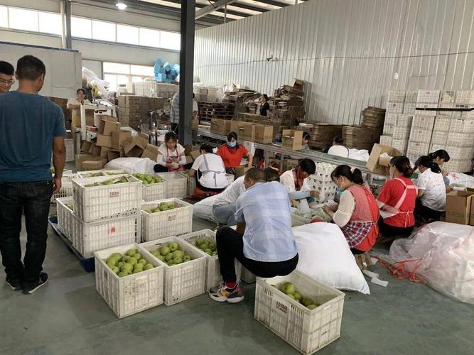 碭山縣物流貨運(yùn)在哪里碭山縣物流貨運(yùn)在哪里啊